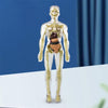 Anatome - Supporto lombare ergonomico per sedie