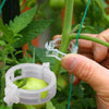 RootHold | Esperienza di giardinaggio facile e affidabile