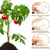 RootHold | Esperienza di giardinaggio facile e affidabile