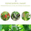RootHold | Esperienza di giardinaggio facile e affidabile