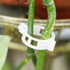 RootHold | Esperienza di giardinaggio facile e affidabile