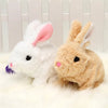 BunnyJoy | Coniglio di Pasqua Interattivo per Bambini