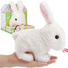 BunnyJoy | Coniglio di Pasqua Interattivo per Bambini