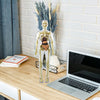 Anatome - Supporto lombare ergonomico per sedie