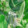 RootHold | Esperienza di giardinaggio facile e affidabile