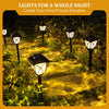 SolarGlow | Illuminazione da giardino decorativa a energia solare