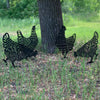 Chickle | Il design allegro delle galline per il tuo giardino