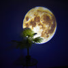 Moon Earth Projection™️ - HYPEBAY NL