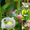 RootHold | Esperienza di giardinaggio facile e affidabile