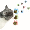 Interactive Catnip Treats™ | Een must-have speeltje voor katten - HYPEBAY NL