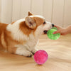 FetchFrenzy - Lanciatore automatico di palline per cani