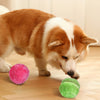 FetchFrenzy - Lanciatore automatico di palline per cani