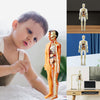 Anatome - Supporto lombare ergonomico per sedie