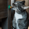 Cat Energy Ball™ | stimulerend en gezond | vandaag 10+10 GRATIS - HYPEBAY NL