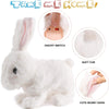 BunnyJoy | Coniglio di Pasqua Interattivo per Bambini