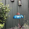 Bird Feeder™ | Een perfecte plek voor schattige vogeltjes - HYPEBAY NL