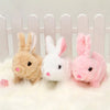 BunnyJoy | Coniglio di Pasqua Interattivo per Bambini